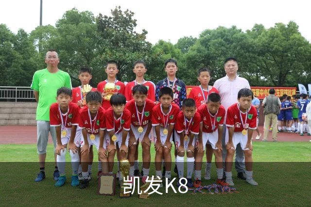 凯发K8公司介绍